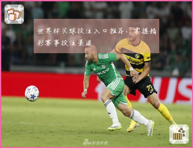 世界杯买球投注入口推荐，掌握精彩赛事投注渠道