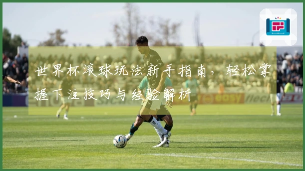 世界杯滚球玩法新手指南，轻松掌握下注技巧与经验解析