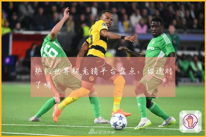 热门世界杯竞猜平台盘点，你选对了吗